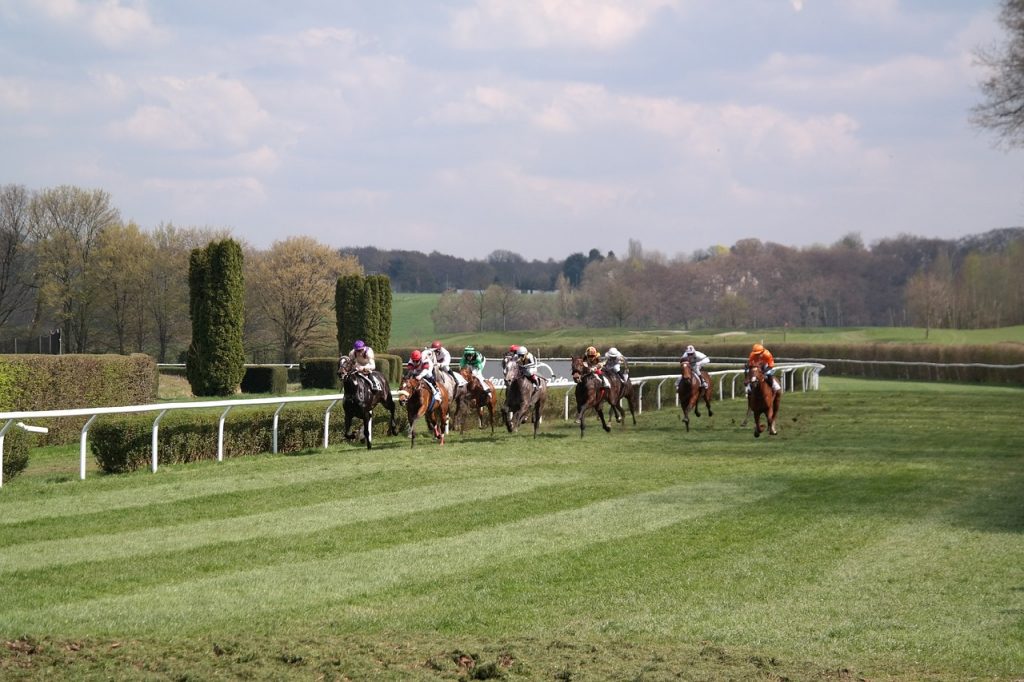 Action shot of a horse race