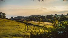 Golden Yorkshire countryside landscape with rolling hills, fields, sheep, and a sunset sky, highlighting the region’s rural tourism appeal.